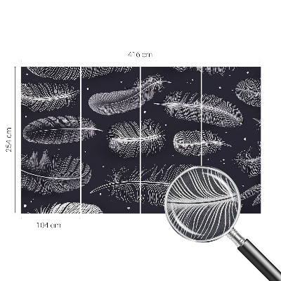 Foto behang voor de keuken Subtiele veren