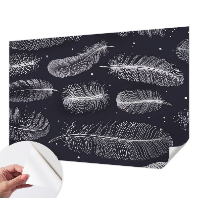 Foto behang voor de keuken Subtiele veren