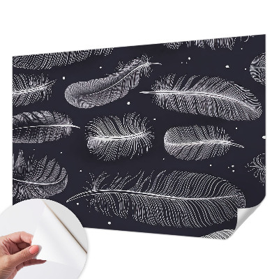 Foto behang voor de keuken Subtiele veren