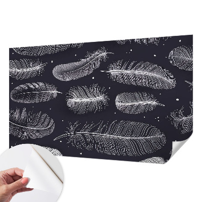 Foto behang voor de keuken Subtiele veren