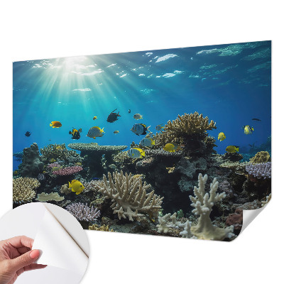 Fotobehang zelfklevend met een onderwaterwereldmotief