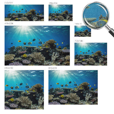 Fotobehang zelfklevend Onderwaterwereld