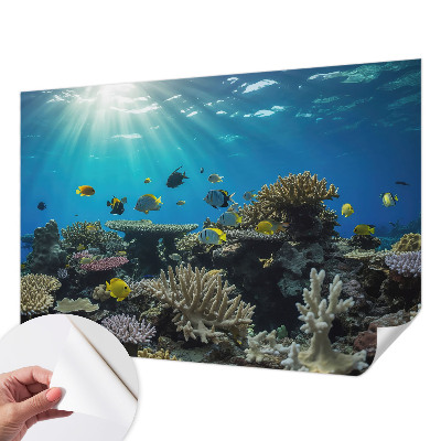 Fotobehang zelfklevend met een onderwaterwereldmotief