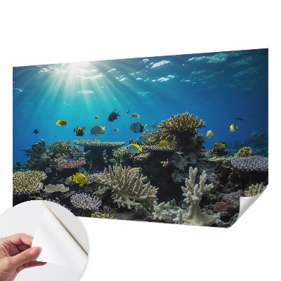 Fotobehang zelfklevend met een onderwaterwereldmotief