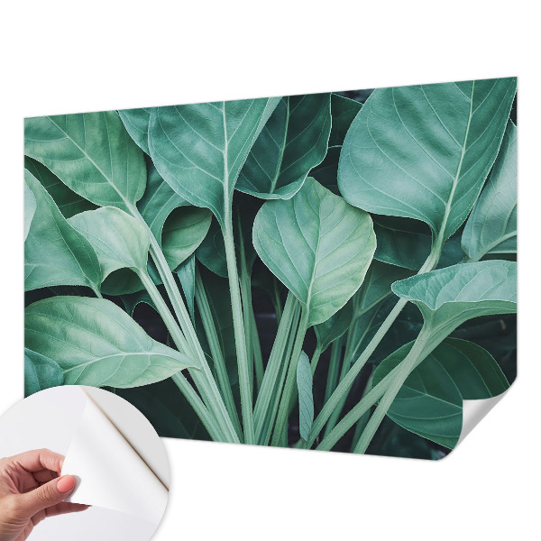 3D fotobehang Groene natuur