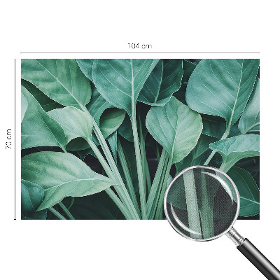 3D fotobehang Groene natuur