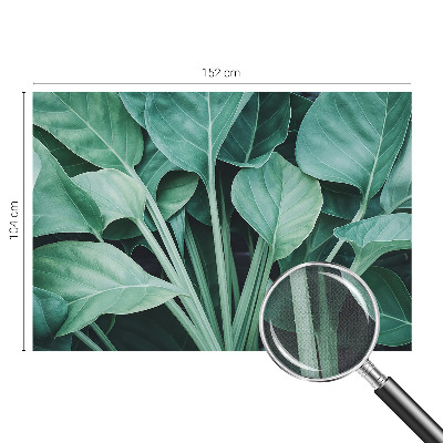 3D fotobehang Groene natuur