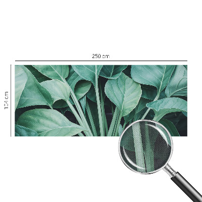3D fotobehang Groene natuur
