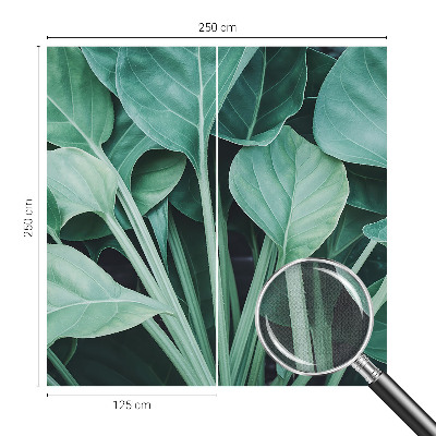 3D fotobehang Groene natuur