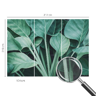 3D fotobehang Groene natuur