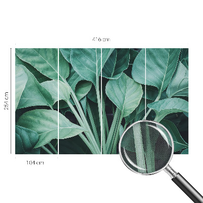 3D fotobehang Groene natuur