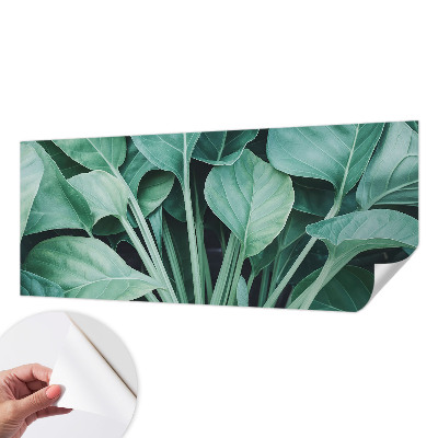 3D fotobehang Groene natuur