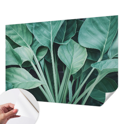 3D fotobehang Groene natuur