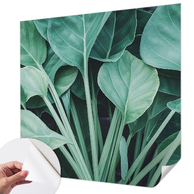 3D fotobehang Groene natuur