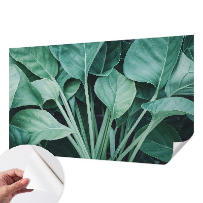 3D fotobehang Groene natuur