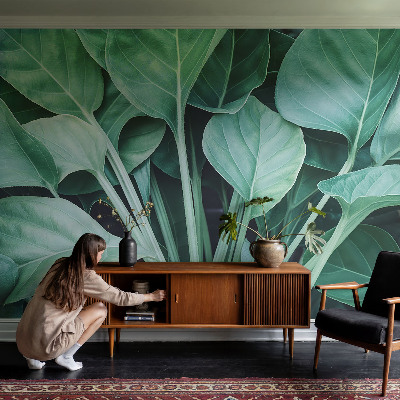 3D fotobehang Groene natuur