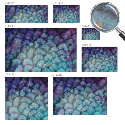 Fotobehang babykamer Kleurrijke veren