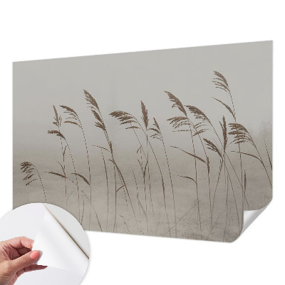 3D fotobehang Grassen in de mist