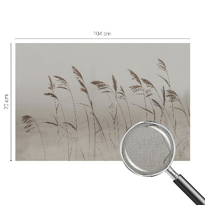 3D fotobehang Grassen in de mist