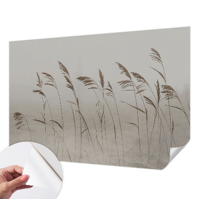 3D fotobehang Grassen in de mist