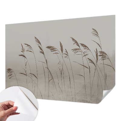 3D fotobehang Grassen in de mist