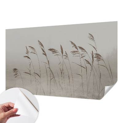 3D fotobehang Grassen in de mist