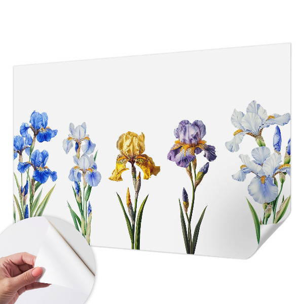 Foto behang voor de kinderkamer Irisbloemen