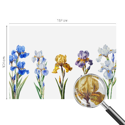 Foto behang voor de kinderkamer Irisbloemen