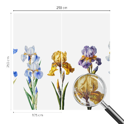 Foto behang voor de kinderkamer Irisbloemen