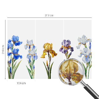 Foto behang voor de kinderkamer Irisbloemen