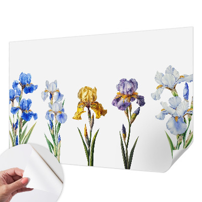 Foto behang voor de kinderkamer Irisbloemen