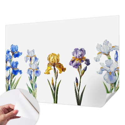 Foto behang voor de kinderkamer Irisbloemen