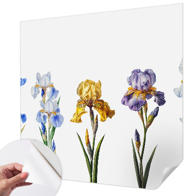 Foto behang voor de kinderkamer Irisbloemen