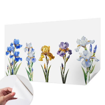 Foto behang voor de kinderkamer Irisbloemen