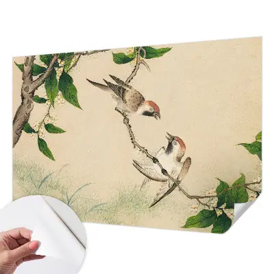 3D fotobehang in klassiek duo-design