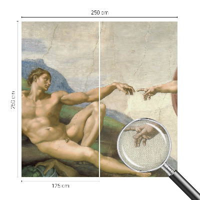 3D fotobehang Spiritueel contact