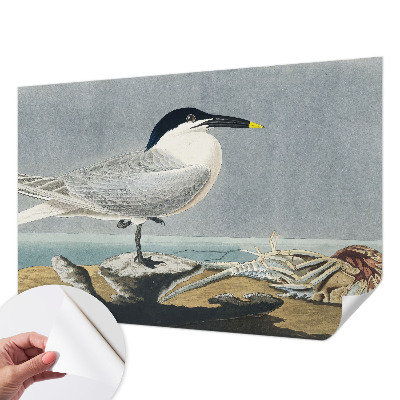 Fotobehang voor kinderkamer met elegante vogels als ornithologisch motief