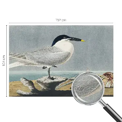 Fotobehang voor kinderkamer met elegante vogels als ornithologisch motief