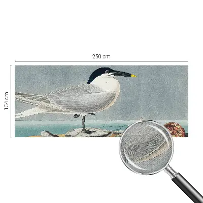Fotobehang voor kinderkamer met elegante vogels als ornithologisch motief