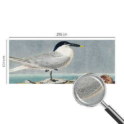 Fotobehang voor kinderkamer Ornithologische elegantie