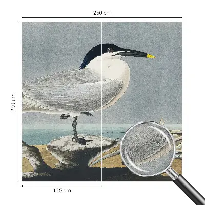 Fotobehang voor kinderkamer met elegante vogels als ornithologisch motief