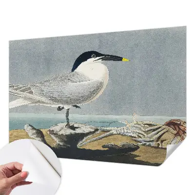 Fotobehang voor kinderkamer met elegante vogels als ornithologisch motief
