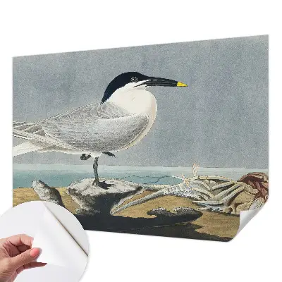 Fotobehang voor kinderkamer met elegante vogels als ornithologisch motief