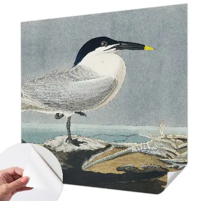Fotobehang voor kinderkamer met elegante vogels als ornithologisch motief