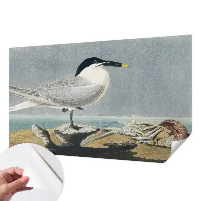 Fotobehang voor kinderkamer met elegante vogels als ornithologisch motief