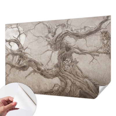 Fotobehang tienerkamer Nachtvogels