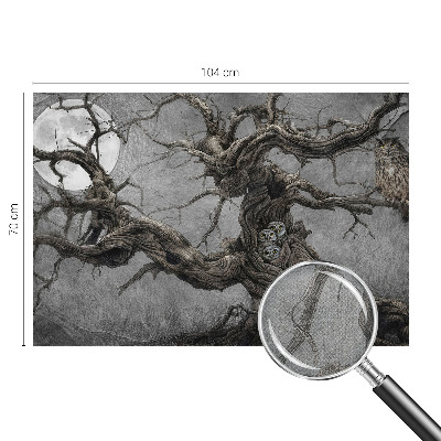 Zelfklevend fotobehang Mysterieuze uil