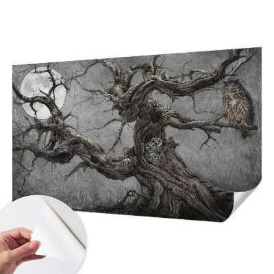 Zelfklevend fotobehang Mysterieuze uil