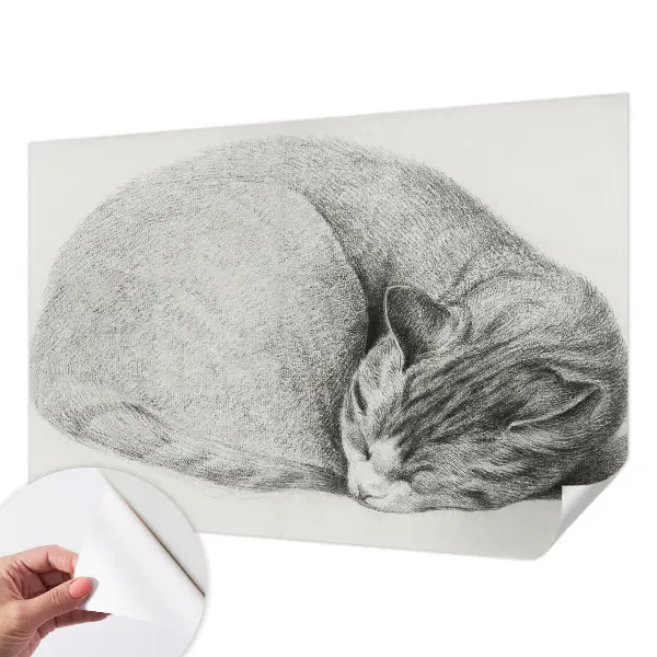 Zelfklevende behangsticker met het ontwerp van een opgerolde kat