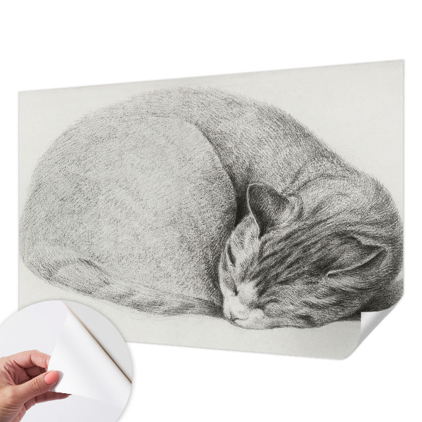 Zelfklevende behangsticker opgerolde kat